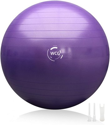 М'яч для фітнесу (фітбол) WCG 65 Anti-Burst 300кг Фіолетовий W-000-65 фото
